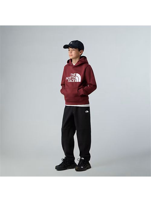  THE NORTH FACE | NF0A8EHH/0VO1